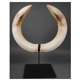 Antique Hippo Ivory Tusks on Custom Base