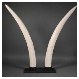 Antique 21" Elephant Ivory Tusks on Custom Bases