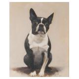Boston Terrier Portrait Painting