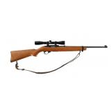 Ruger 10/22 Carbine .22 LR Rifle