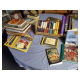 Lot of Assorted Books