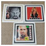 Lot of 3 WWF Glass Panels