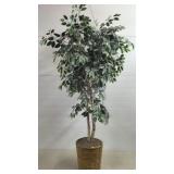 5" H Artificial Ficus Tree