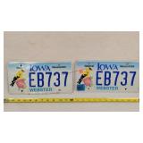 Iowa Webster Natural Resources License Plates