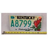 2010 Kentucky License Plate - Aluminum