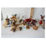 24 Birds