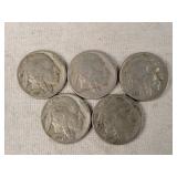 5- Indian Head Nickels