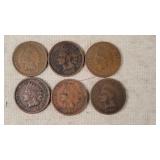 6- 1900-1907 Indian Head Cents