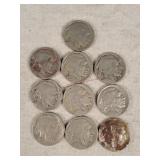 10 Buffalo Nickels
