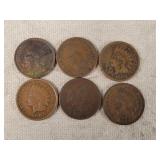 6- 1901 - 1908 Indian Head Cents