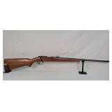 Hawthorne Sentry .22 LR Bolt Action Rifle