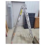 Krause Trimatic 12ft. Folding Ladder