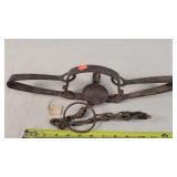 Triumph No. 3 6" Double Spring Trap