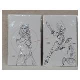 2- Sketch Variant Comics