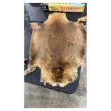 BEAVER PELT 36.5' LONG