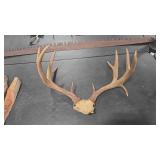 4X4 DROP TINE ELK RACK