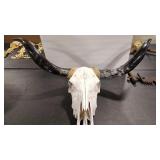 SKULL & HORNS