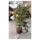 END TABLE 2 PLANT DECORS AND LAMP