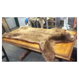 BEAR RUG, 6FT 3IN NOSE TO TAIL