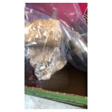 BX OF CRXYSTALS & ROCKS