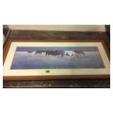 HORSE PRINT, 43'X20'