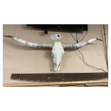 STEER HORNS & SKULL