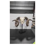 CERAMIC BIG HORN SHEEP SCULL SCULPTURE