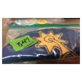 11TH ST STUDIO MINATURE PICTURE, EARLY 1900'S