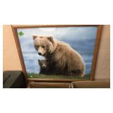 3 GRIZZLY BEAR PHOTOGRAPHS