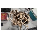 BOX OF ANTLERS