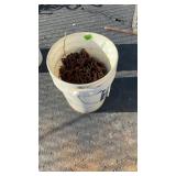 BUCKET OF TRUCK CHAINS