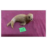 FUR SEAL FIGURINE