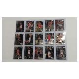 15 - MICHAEL JORDAN/BULLS SPORTS CARDS