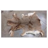 WHITETAIL DEER HIDE