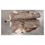 WHITETAIL DEER HIDE