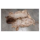 TANNED ELK HIDE