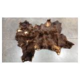 TANNED BROWN BEAR HIDE