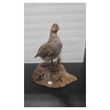 GREY PARTRIDGE TAXIDERMY ON WOOD BASE