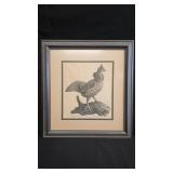 WM. M. KIM 'RUFFED GROUSE'