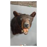 BLACK BEAR SHOULDER MOUNT