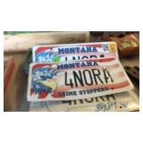 GROUP OF LICENSE PLATES