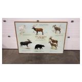 GLACIER NATIONAL PARK HAND PAINTED 'MAMMALS OF
