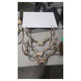 3 ANTLER MOUNTS