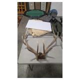 ELK ANTLER MOUNT