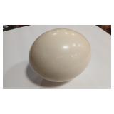OSTRICH EGG SHELL