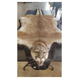 MOUNTAIN LION RUG 78' HEAD TO TAIL