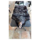 BLACK BEAR RUG 75' HEAD TO TAIL