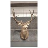 4X4 WHITETAIL DEER SHOULDER MOUNT