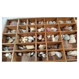 GROUP OF ASSORTED ROCKS, FOSSILS, & SHELLS