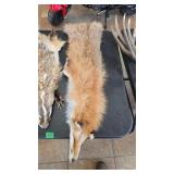 FOX HIDE